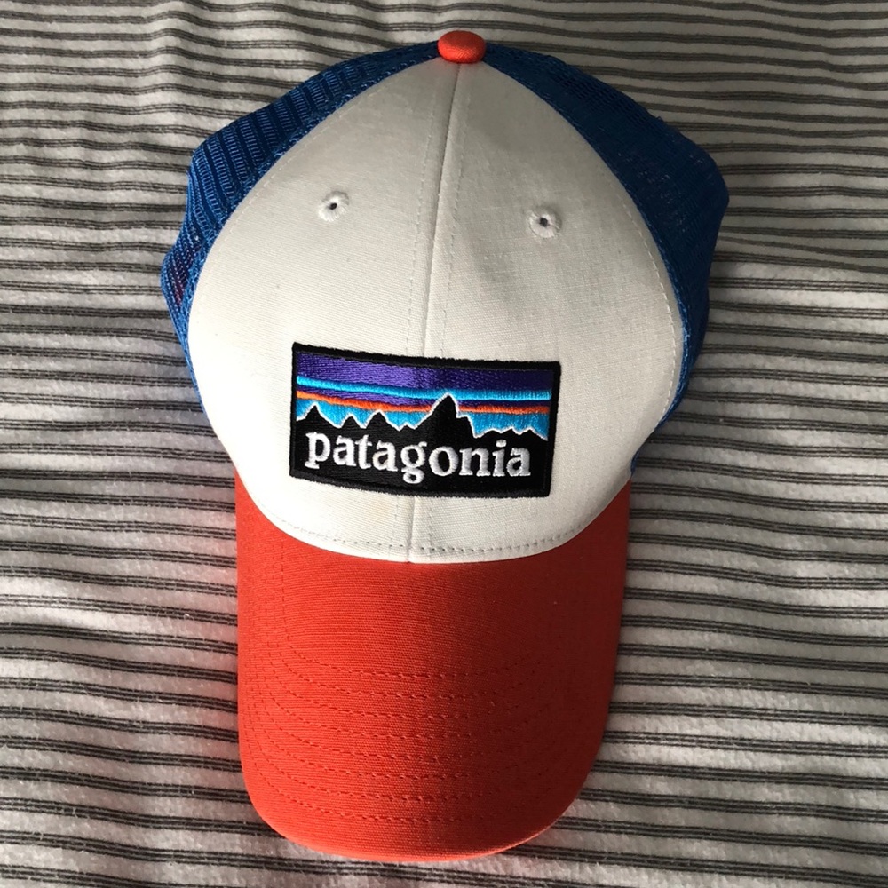 Patagonia baseball hat